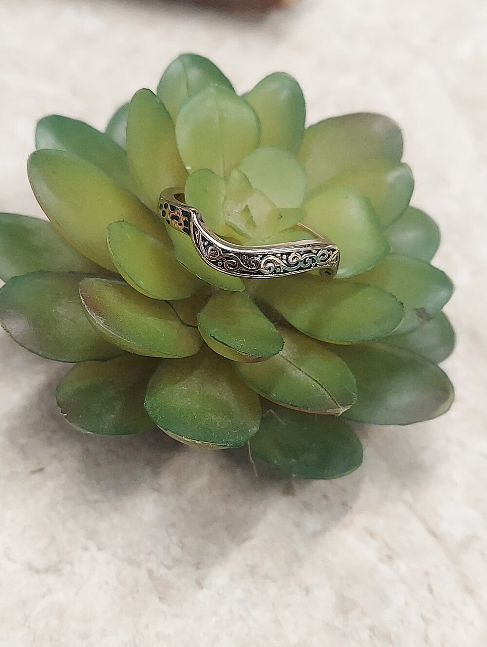 R308 Minimalist Gildtone Curved Decorative Ring
